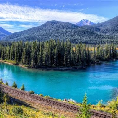 乐发彩票app下载x